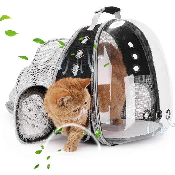 Cat Backpack Carrier Bubble, Cat Dog Bookbag Carrier