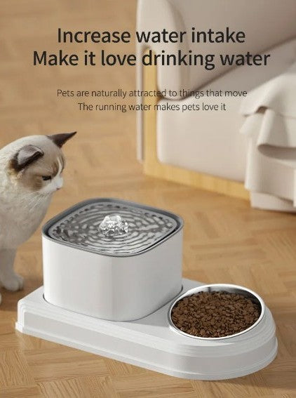 2 in1 Cat Drinking Fountain Automatic Cat Waterer and Feeding Bowl Pet Cat Drinking Water Dispenser