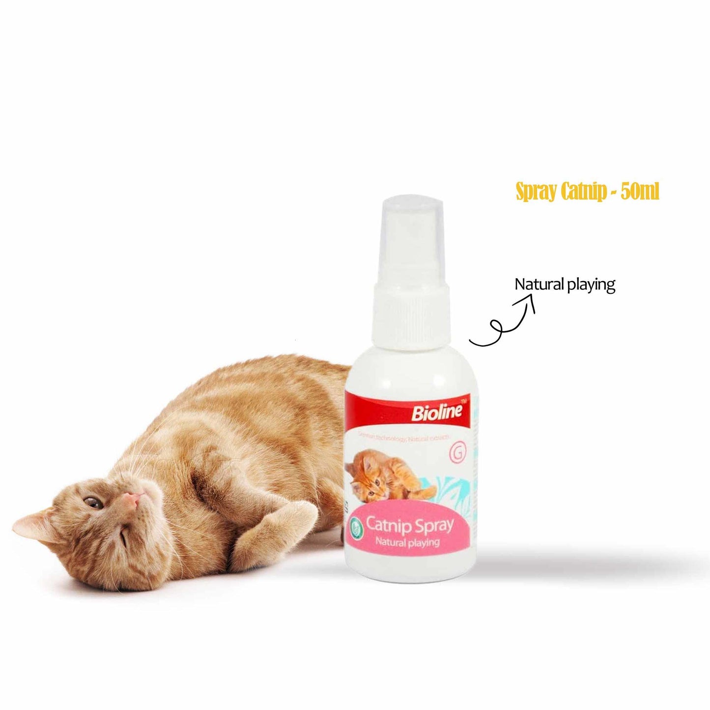 Catnip Spray Natural Playing
