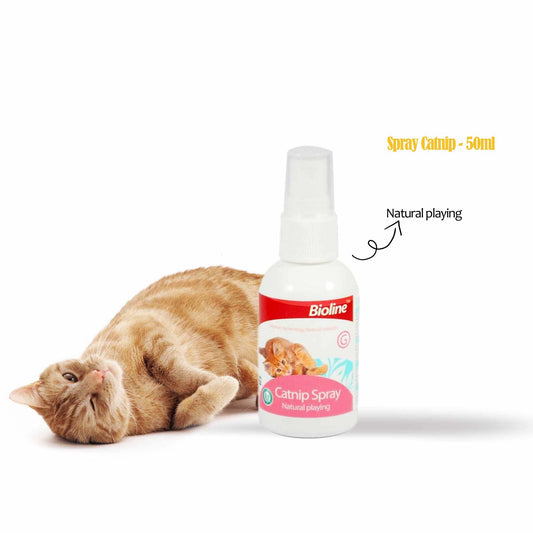 Catnip Spray Natural Playing