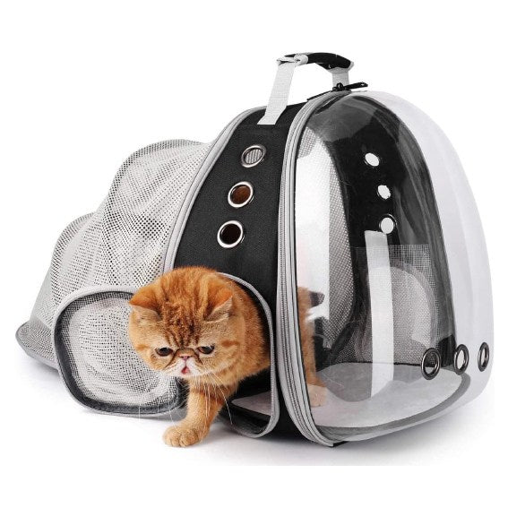 Cat Backpack Carrier Bubble, Cat Dog Bookbag Carrier