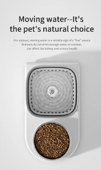 2 in1 Cat Drinking Fountain Automatic Cat Waterer and Feeding Bowl Pet Cat Drinking Water Dispenser